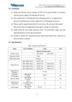 RFL-P200 / RFL-P300 Pulsed Fiber Laser User Guide-9
