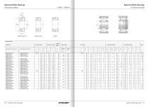 Spherical Roller Bearings - EVOLMEC - EVSRB - 02.2021 - 11