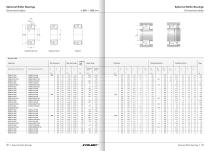 Spherical Roller Bearings - EVOLMEC - EVSRB - 02.2021 - 15