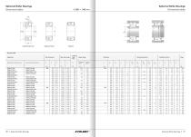 Spherical Roller Bearings - EVOLMEC - EVSRB - 02.2021 - 16