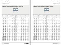 Spherical Roller Bearings - EVOLMEC - EVSRB - 02.2021 - 7