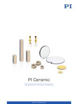 PI Ceramic - 1