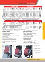 522B Grinding-polishing line Disk sanders - 2