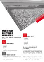 MESH BELT Conveyor Furnaces-2