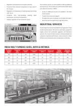 MESH BELT Conveyor Furnaces-5