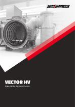 Vector HV Single -chamber High Vacuum Furnace for multipurpose and dedicated applications-1