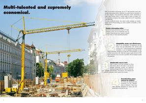 The 32 TT fast-erecting crane-2