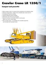 Crawler and lattice boom cranes-6