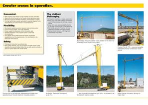 Fast-erecting cranes on crawler tracks.-3