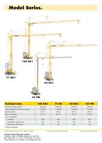 Fast-erecting cranes on crawler tracks.-4