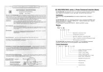 IEC Standard Exprosion Proof Motors-3