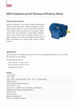 NEMA Standard Electric Motor-14