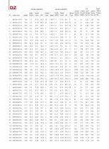 NEMA Standard Electric Motor-17