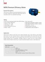 NEMA Standard Electric Motor-8