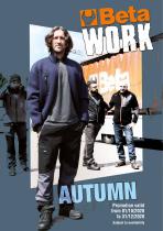 beta work automn 2020-1