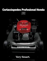 Lawn Mowers-5