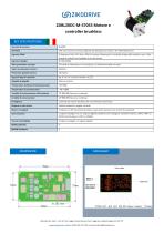 ZDBL20DC-M-57055 Brushless Motor and Controller - 9