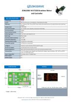 ZDBL20DC-M-57220 Brushless Motor and Controller - 1