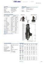 Safety and Relief valve-2