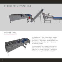 Fruit – Cherry processing - 8