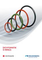 DICHTOMATIK O-RINGS - 1