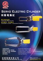 Suspension type-12