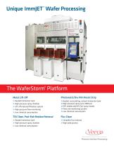 The WaferStorm® Platform - 1