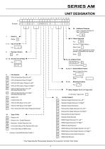 BR-Series-AM.-7