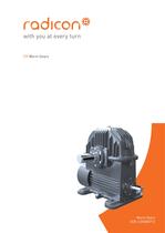 Heavy Duty Worm Gear Series ER-1