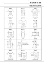 Series BS Worm Gear - 6