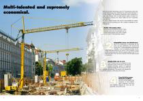 The 32 TT fast-erecting crane. Also on crawler-track undercarriage.-2