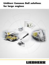 Liebherr Common Rail solutions for large engines-1