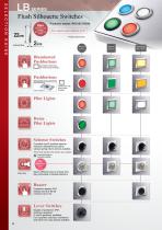 Flush Silhouette Switches LB Series Illuminated Pushbuttons-4