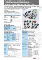 Flush Silhouette Switches LB Series Illuminated Pushbuttons-7