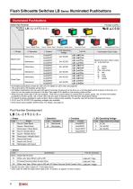 Flush Silhouette Switches LB Series Illuminated Pushbuttons-8