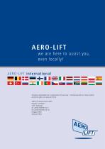 Metal leaflet-12