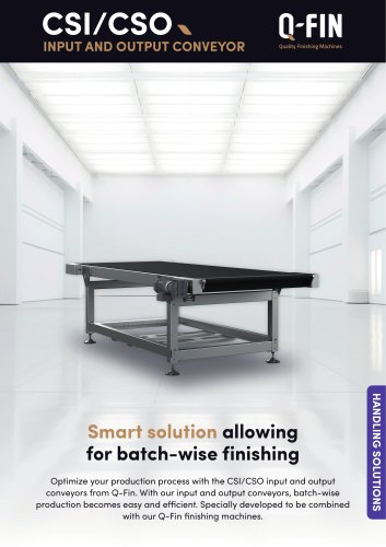 INPUT AND OUTPUT CONVEYOR