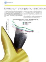 Flexible grinding-4