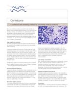 Centribone - A continuous wet rendering system-1