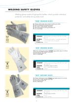 Protective Equipment for Trade and Industry. 2018-3