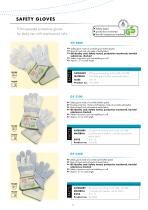 Protective Equipment for Trade and Industry. 2018-5