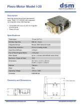 DSM Model I-20 - 1