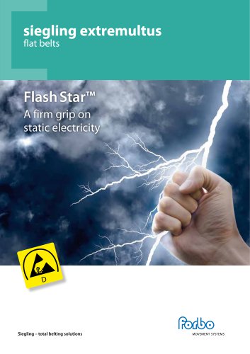 FlashStar&trade; A firm grip on static electricity