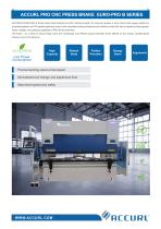 PRESS BRAKE EURO-PRO B Series-2