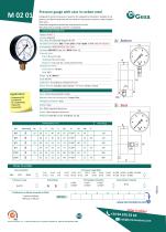 Pressure gauge with plastic case-2