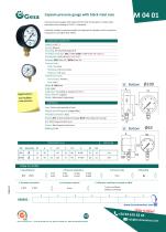 Pressure gauge with plastic case-5