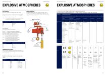 RED ROOSTER Air Chain Hoists-10
