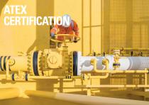 RED ROOSTER Air Chain Hoists-7