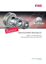 Spherical Roller Bearings E1 - 1