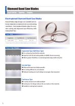 Silicon Processing Tools  for Solar Cells-3